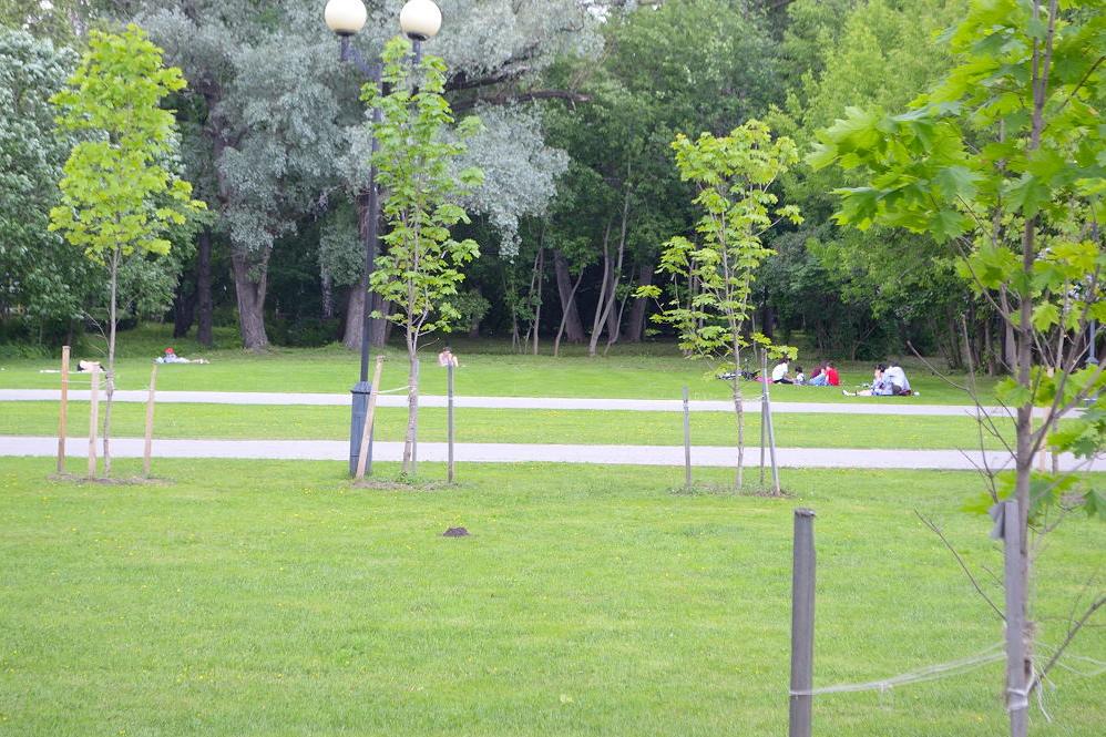 Измайловский парк Москва