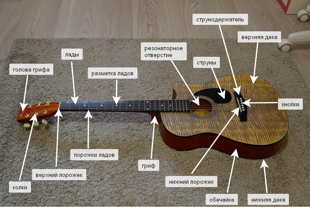 Устройство акустической гитары