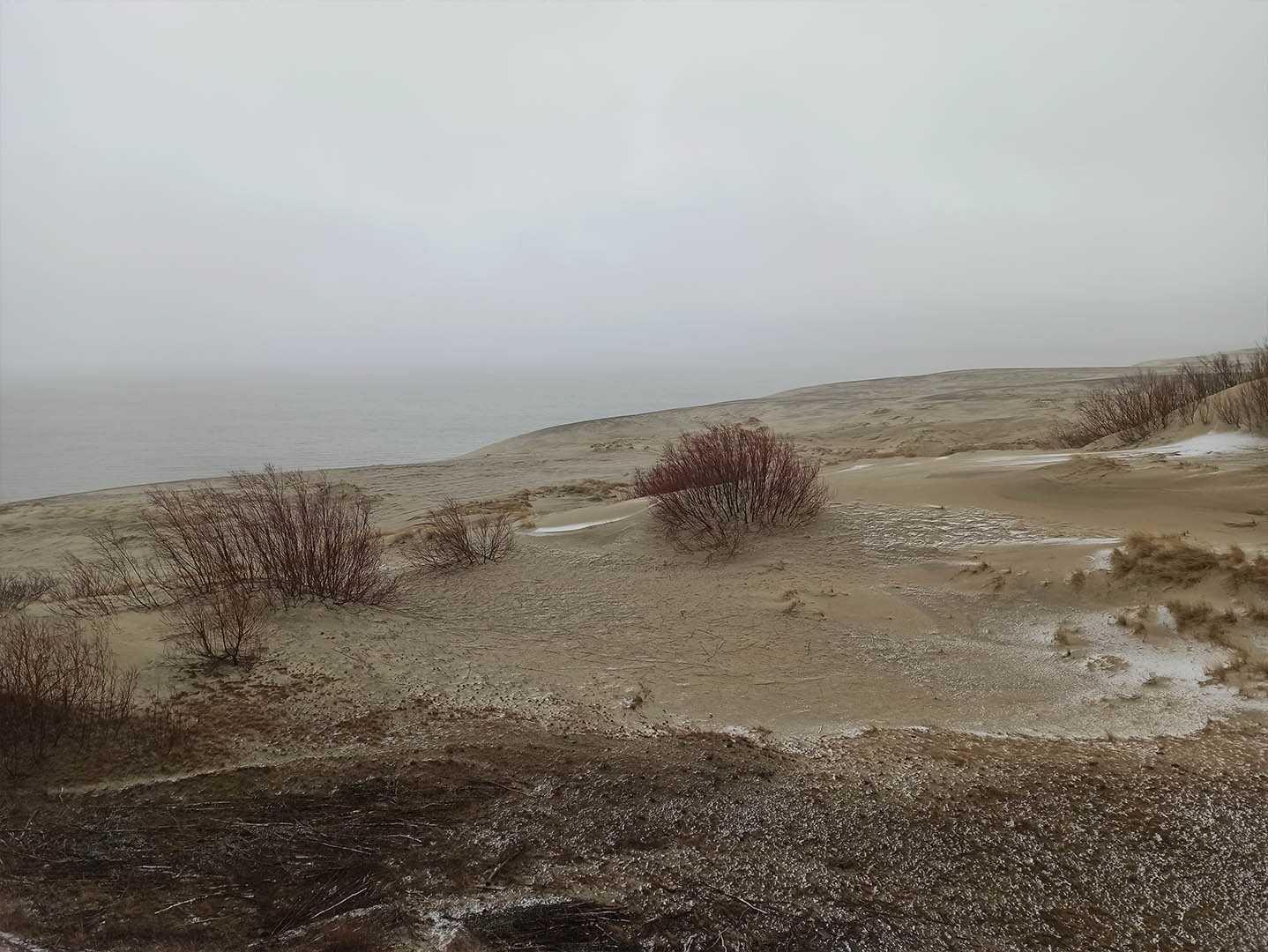 Песчаная дюна на Куршской косе